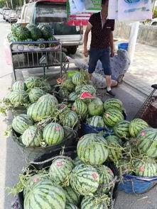 高州网红吃瓜事件视频曝光,视频曝光引发网友热议